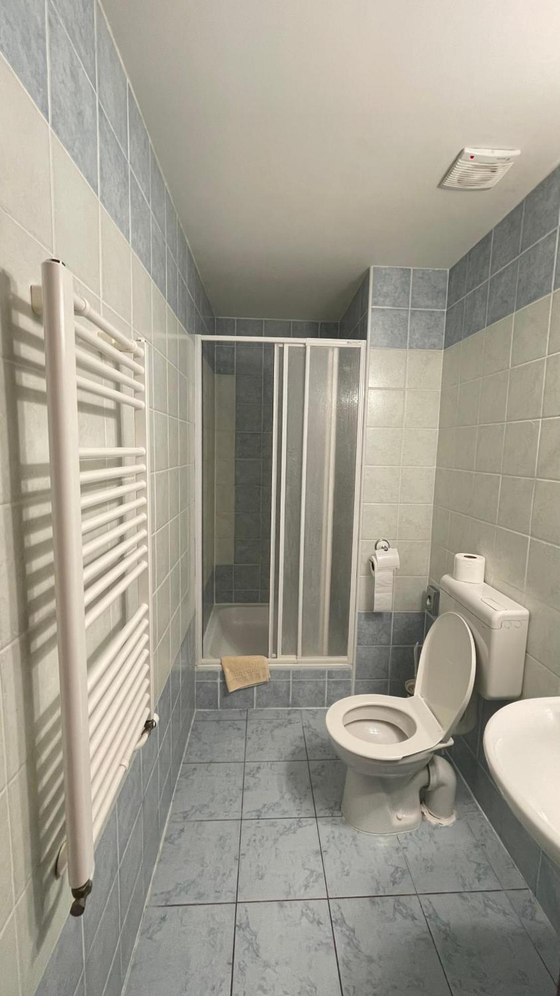 Hotel Cerny Orel Zatec Exterior photo
