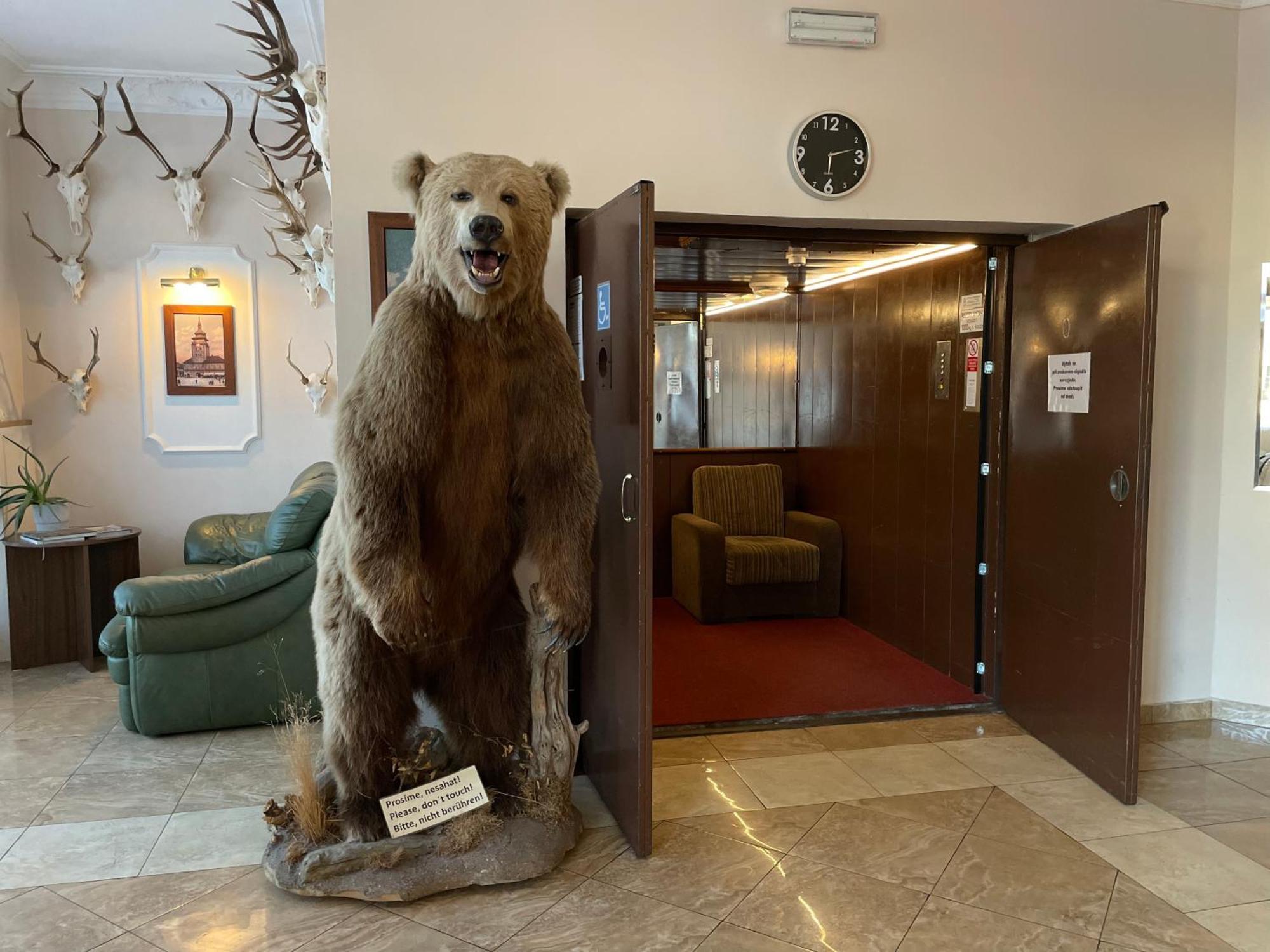 Hotel Cerny Orel Zatec Exterior photo